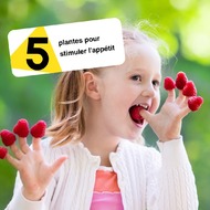 🌿✨ Découvrez comment les plantes peuvent stimuler l'appétit de vos enfants ! 🍴

🌱 Fenugrec : Stimule l'appétit et aide à une meilleure digestion.
🌱 Curcuma : Améliore la digestion et possède des propriétés anti-inflammatoires.
🌱 Gingembre : Facilite la digestion et aide à mieux assimiler les nutriments.
🌱 Chicorée : Contient des prébiotiques qui favorisent une bonne santé intestinale.
🌱 Cresson : Riche en vitamines et minéraux, il soutient une alimentation équilibrée.

🌈 Essayez le Sirop Appétit Tonus de PEDIAKID® ! Riche en plantes et en vitamines essentielles, il stimule l'appétit, favorise une prise de poids saine et réduit la fatigue. Aromatisé au naturel concentré de framboise, il est parfait pour redonner de la vitalité à vos enfants. 🌟

✨ Offrez-leur une solution naturelle pour une énergie optimale au quotidien !